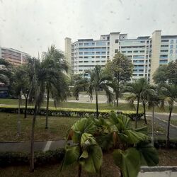 Blk 428 Pasir Ris Drive 6 (Pasir Ris), HDB 4 Rooms #631544341